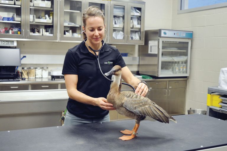 CAREERS IN NURSING NOT YOUR TYPICAL NURSE OKLAHOMA CITY