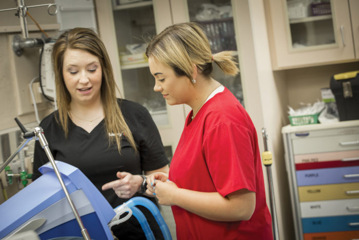 Armore nurseWEB