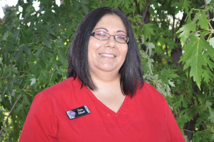 licia twoWEB